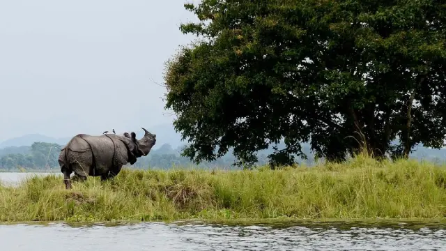 কক্সবাজারে ভূমি ধসে আট শিশুর মর্মান্তিক মৃত্যু