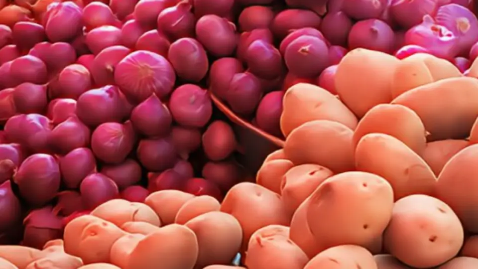 রাজশাহীর আলু যাচ্ছে মালয়েশিয়ায়