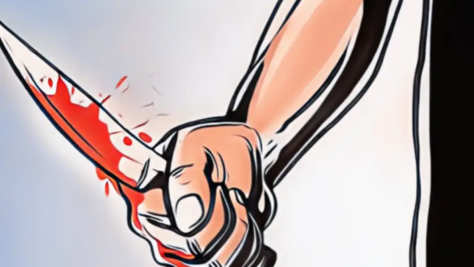 ধর্ষণে ব্যর্থ হয়ে কুবি শিক্ষার্থী সুমাইয়া ও তার মাকে হত্যা: পুলিশ
