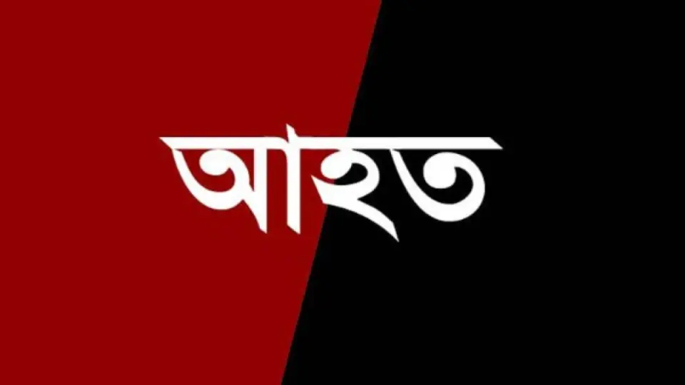 নারায়ণগঞ্জে যুবদল নেতার ব্যবসা প্রতিষ্ঠানে হামলা-ভাঙচুর, আহত ১