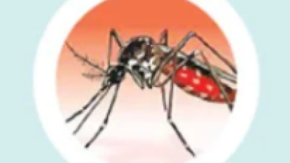 ২৪ ঘণ্টায় ডেঙ্গু আক্রান্ত হয়ে হাসপাতালে ভর্তি ৭৭